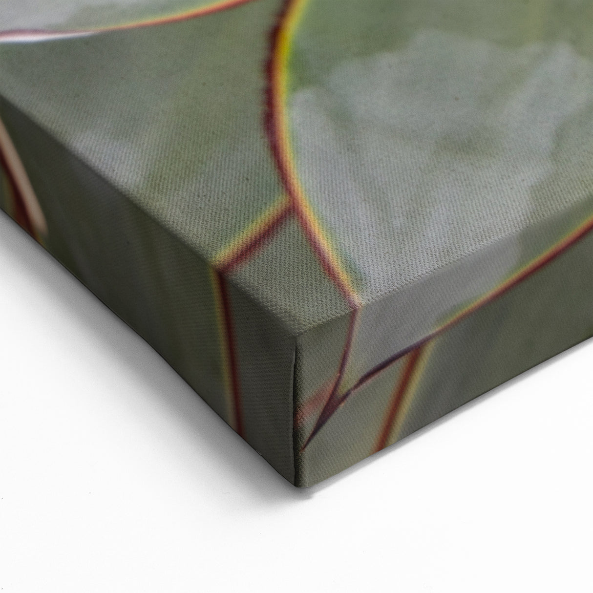 Succulent Close-Up Wall Art: Nature-Inspired Botanical Canvas Print