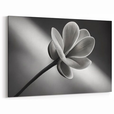 Monochrome Floral Wall Art: Elegant Black and White Nature-Inspired Print