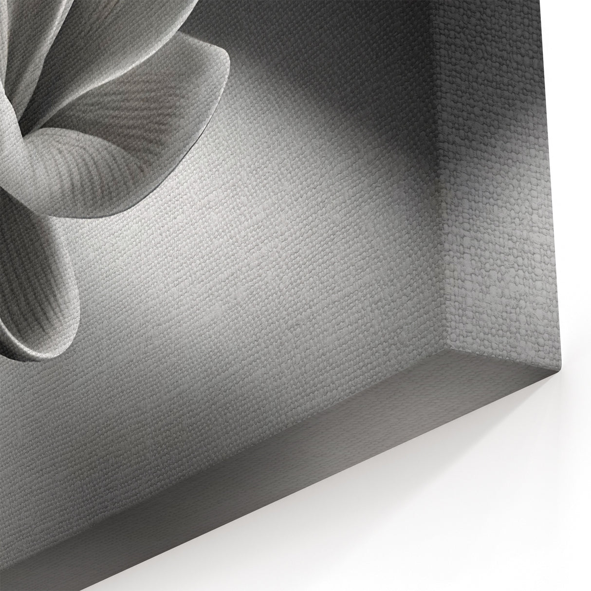 Monochrome Floral Wall Art: Elegant Black and White Nature-Inspired Print