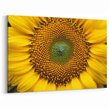 Sunflower Close-Up Wall Art: Vibrant Nature-Inspired Botanical Canvas