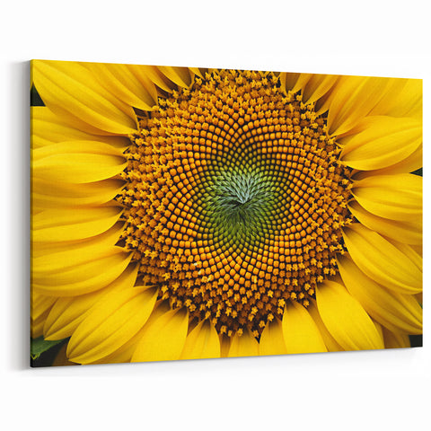 Sunflower Close-Up Wall Art: Vibrant Nature-Inspired Botanical Canvas