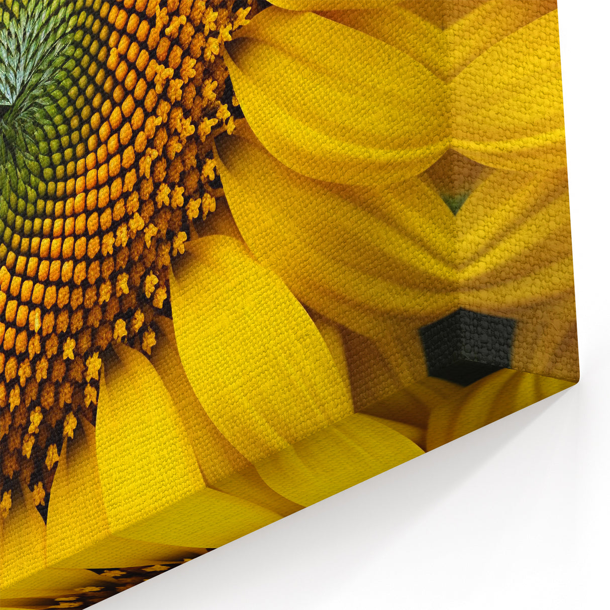Sunflower Close-Up Wall Art: Vibrant Nature-Inspired Botanical Canvas