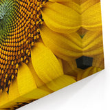 Sunflower Close-Up Wall Art: Vibrant Nature-Inspired Botanical Canvas
