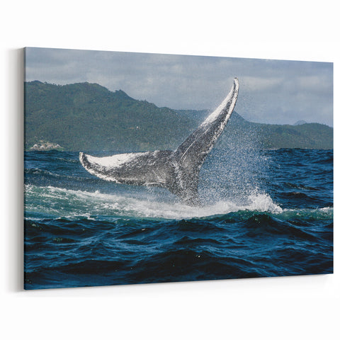 Tropical Beach Wall Art - Dominican Republic Canvas Prints