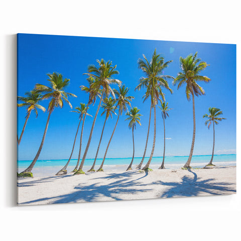 Dominican Republic Wall Art - Vibrant Caribbean Palm Beach Scene