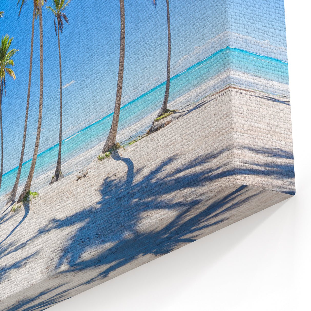Dominican Republic Wall Art - Vibrant Caribbean Palm Beach Scene