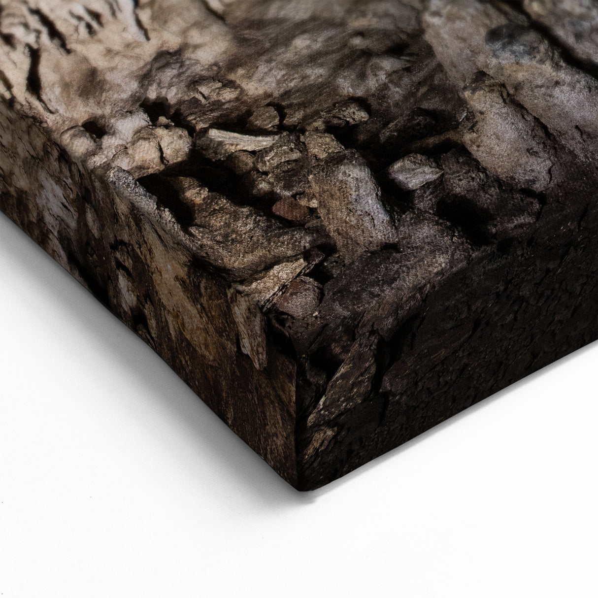 Dominican Republic Wall Art - Mysterious Caribbean Cave Landscape