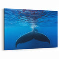 Tropical Beach Wall Art - Majestic Whale in Caribbean Waters