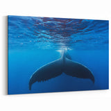 Tropical Beach Wall Art - Majestic Whale in Caribbean Waters