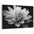 Monochrome Daisy Wall Art – Elegant Black and White Floral Canvas Print