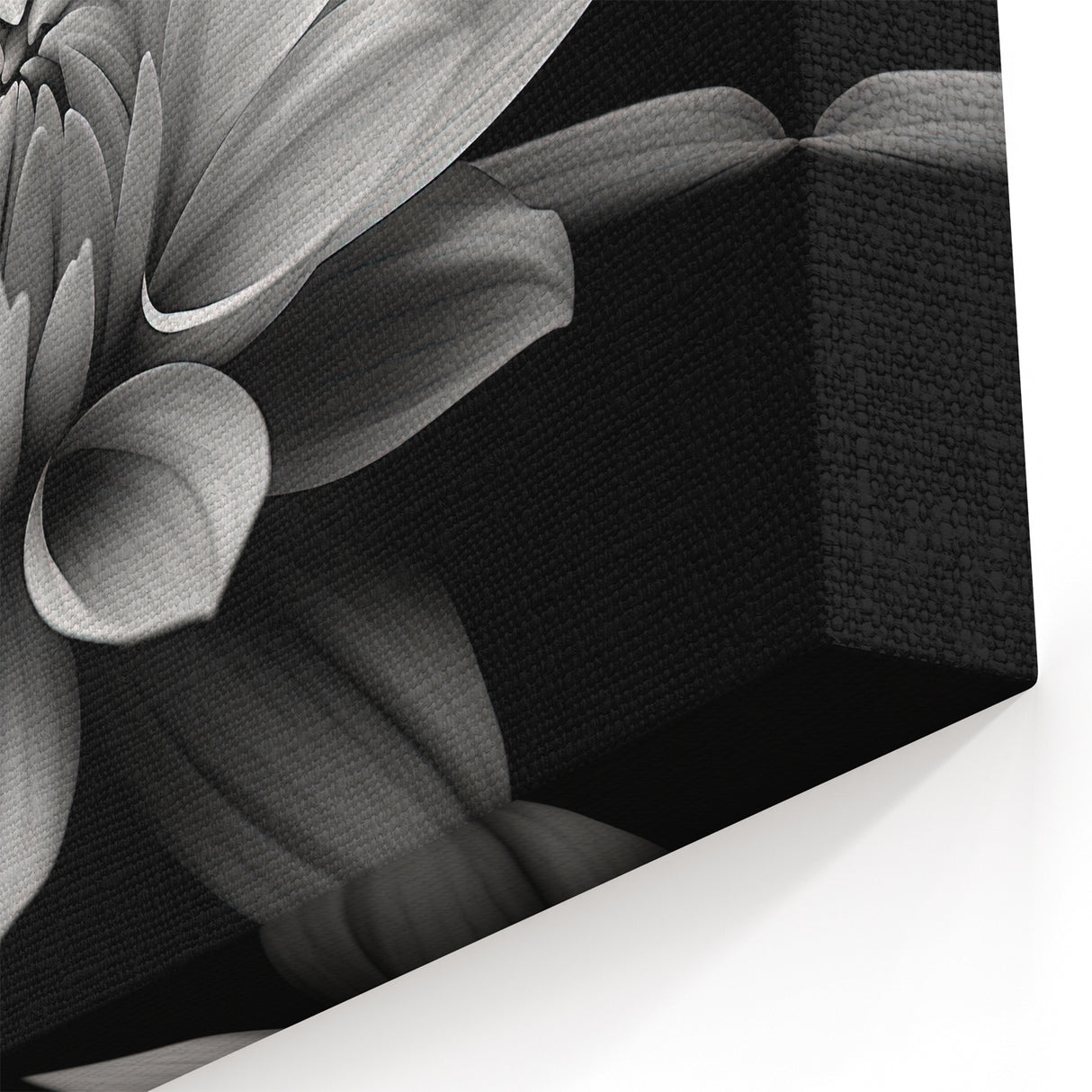 Monochrome Daisy Wall Art – Elegant Black and White Floral Canvas Print