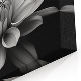 Monochrome Daisy Wall Art – Elegant Black and White Floral Canvas Print