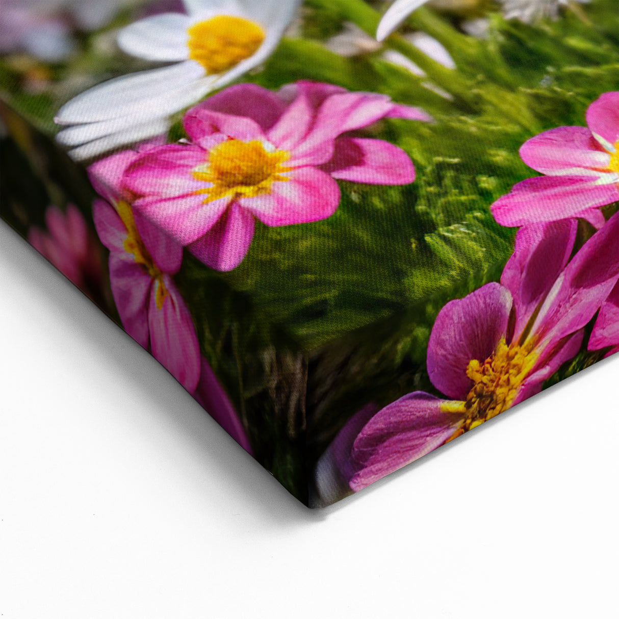 Mountain Wildflowers Photography – Scenic Wildflower Wall Art Decor