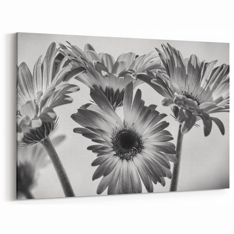 Black and White Daisy Wall Art – Elegant Floral Monochrome Canvas Print
