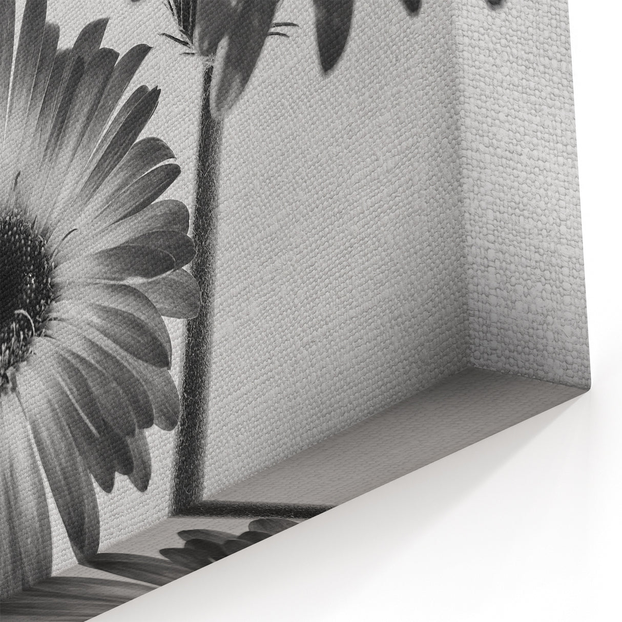 Black and White Daisy Wall Art – Elegant Floral Monochrome Canvas Print