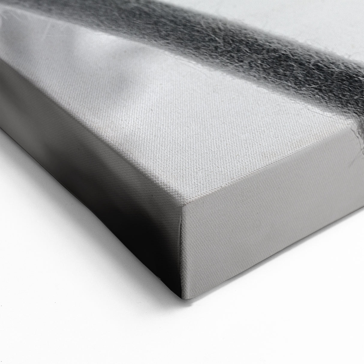 Black and White Daisy Wall Art – Elegant Floral Monochrome Canvas Print