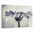 Minimalist Daisy Wall Art – Soft Monochrome Floral Canvas Print