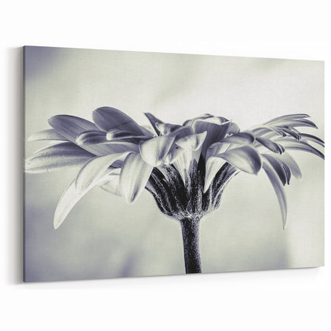 Minimalist Daisy Wall Art – Soft Monochrome Floral Canvas Print