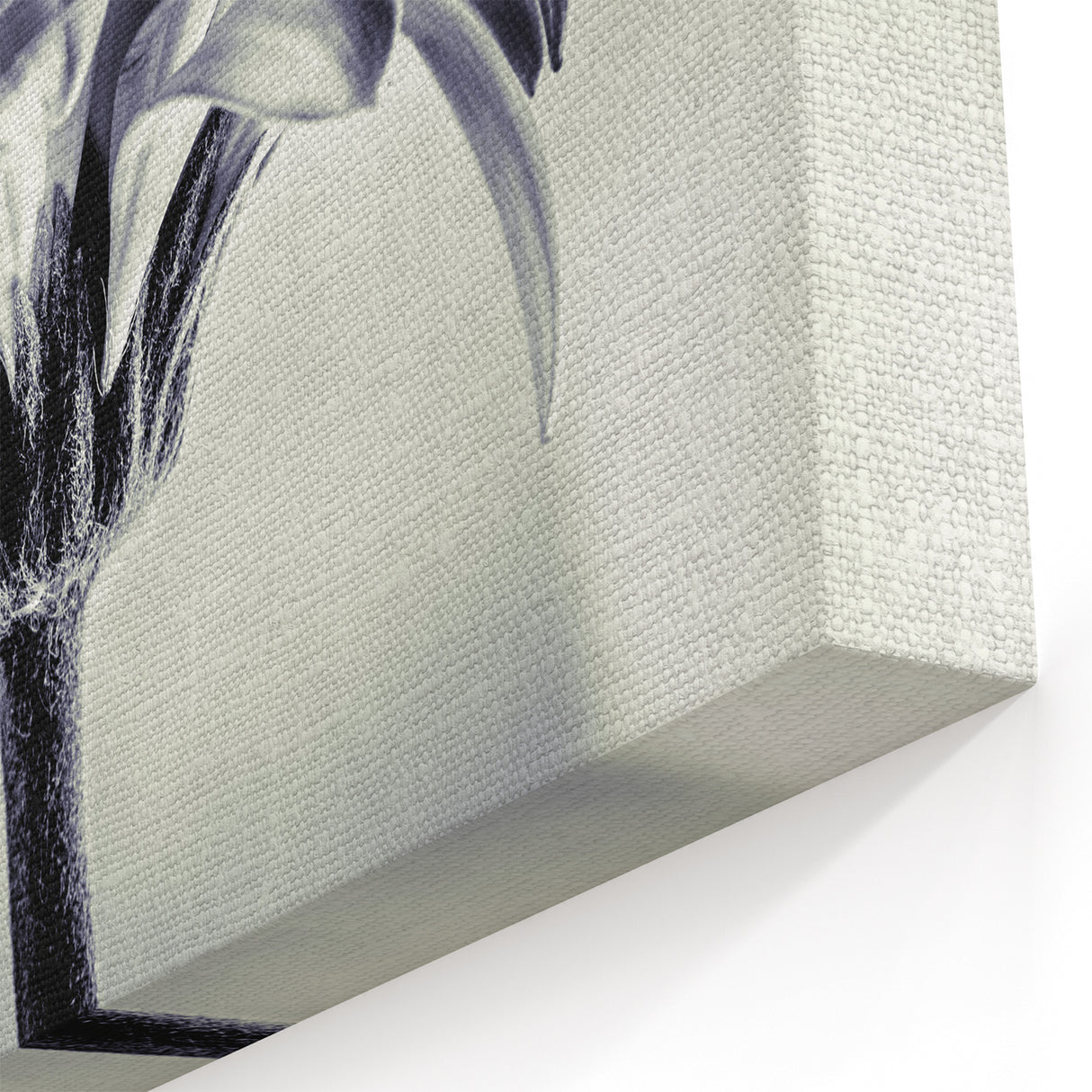 Minimalist Daisy Wall Art – Soft Monochrome Floral Canvas Print