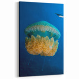 Haitian Coastal Scenes - Island Paradise Art Featuring Underwater Life