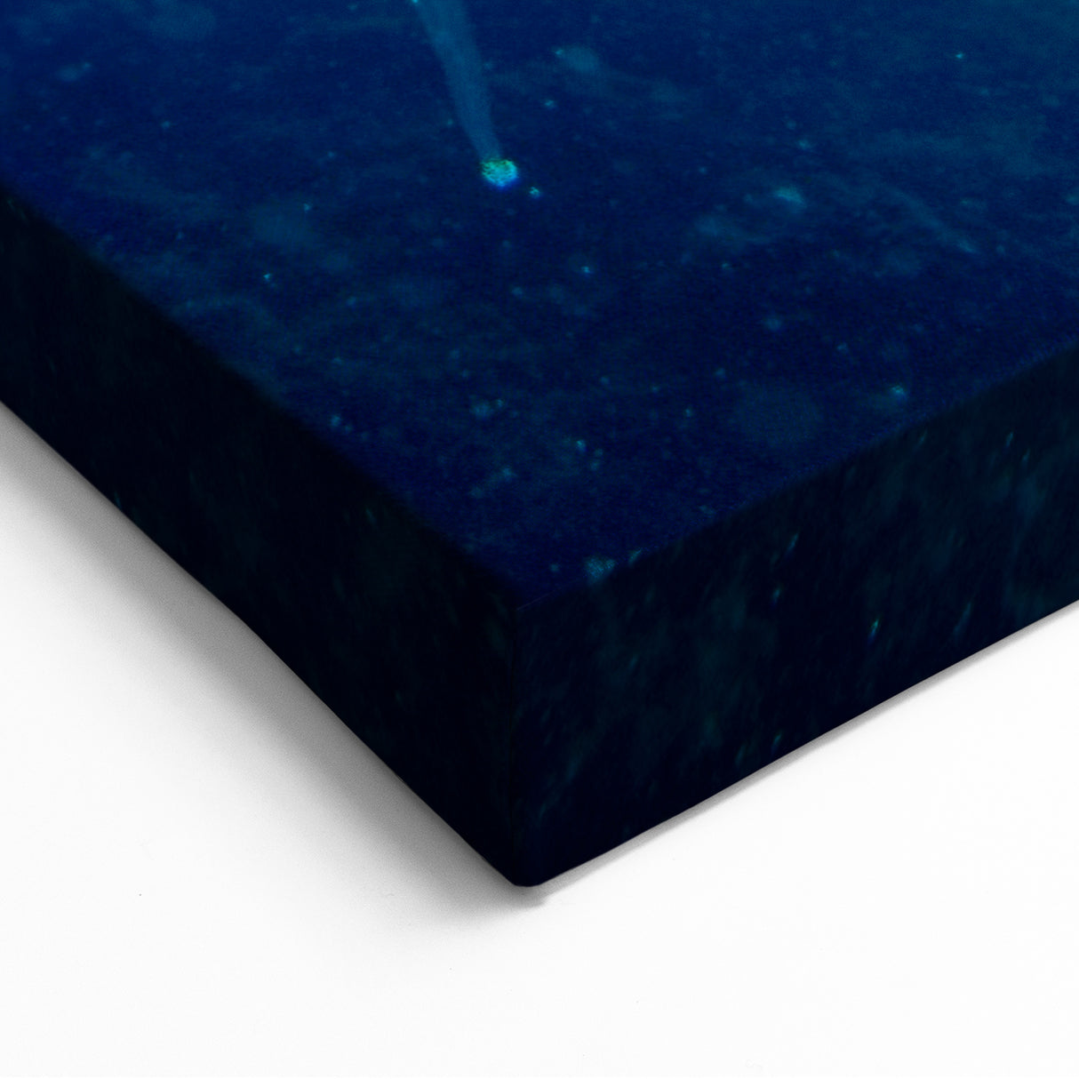 Haitian Coastal Scenes - Island Paradise Art Featuring Underwater Life