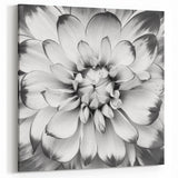 Elegant Water Lily Painting – Black & White Floral Canvas Wall Art Decor