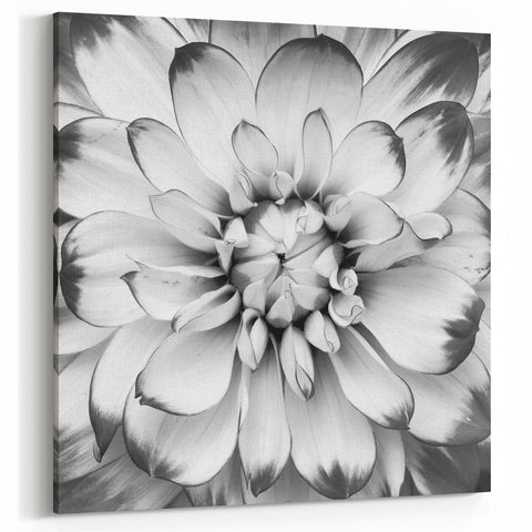 Elegant Water Lily Painting – Black & White Floral Canvas Wall Art Decor