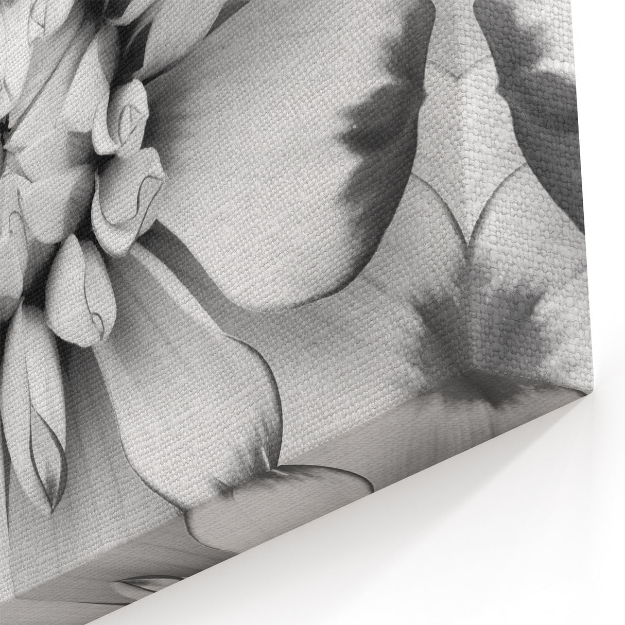 Elegant Water Lily Painting – Black & White Floral Canvas Wall Art Decor