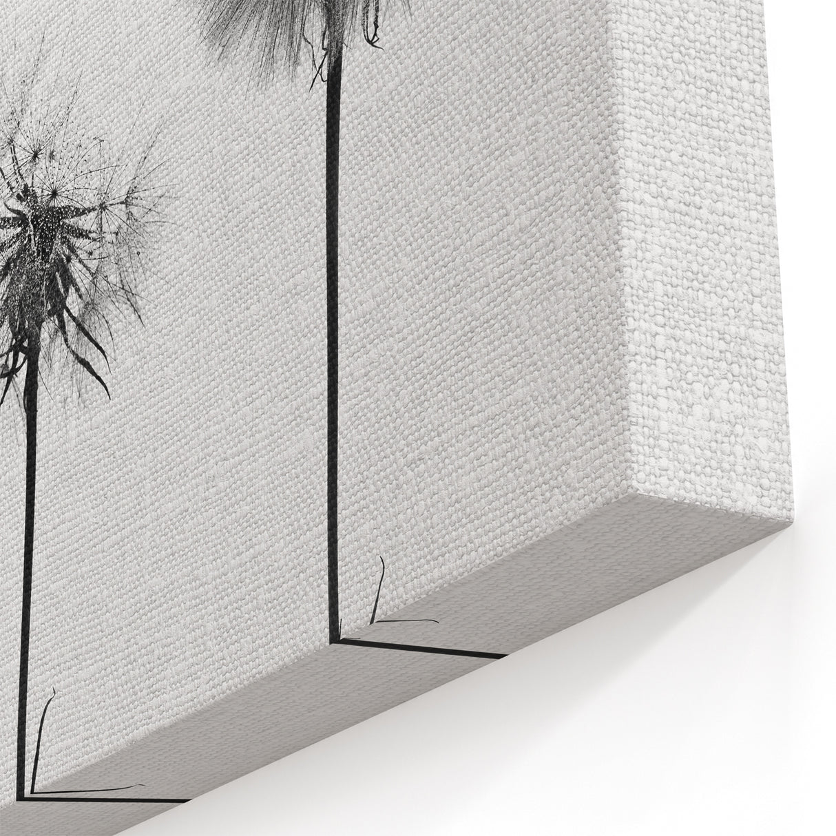 Minimalist Black and White Dandelion Art - Elegant Botanical Print