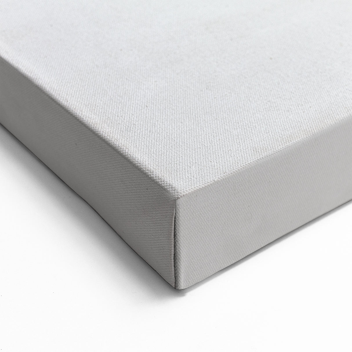 Minimalist Black and White Dandelion Art - Elegant Botanical Print