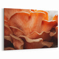 Delicate Nature Close-Up Wall Art - Mushroom-Inspired Floral Decor