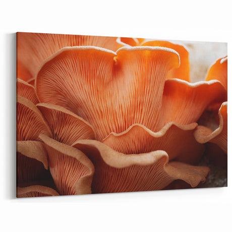 Delicate Nature Close-Up Wall Art - Mushroom-Inspired Floral Decor