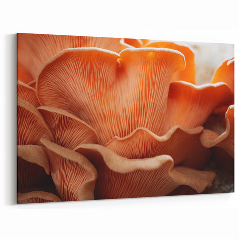 Delicate Nature Close-Up Wall Art - Mushroom-Inspired Floral Decor