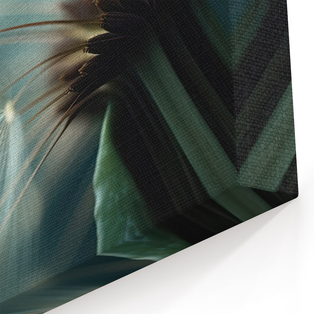 Nature-Inspired Floral Wall Art - Dandelion Close-Up Botanical Decor