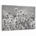Black and White Dandelion Field Print - Minimalist Nature Wall Art
