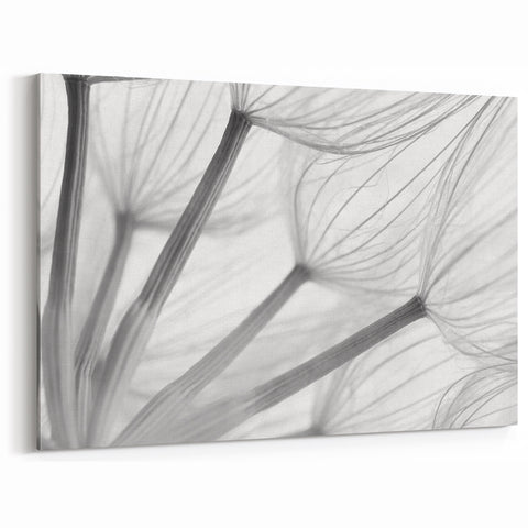 Minimalist Dandelion Close-Up Print - Elegant Black and White Wall Art
