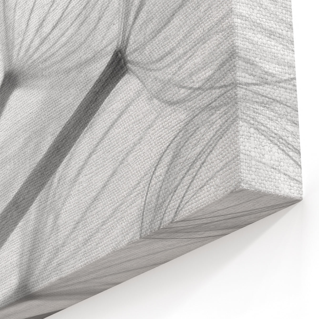 Minimalist Dandelion Close-Up Print - Elegant Black and White Wall Art