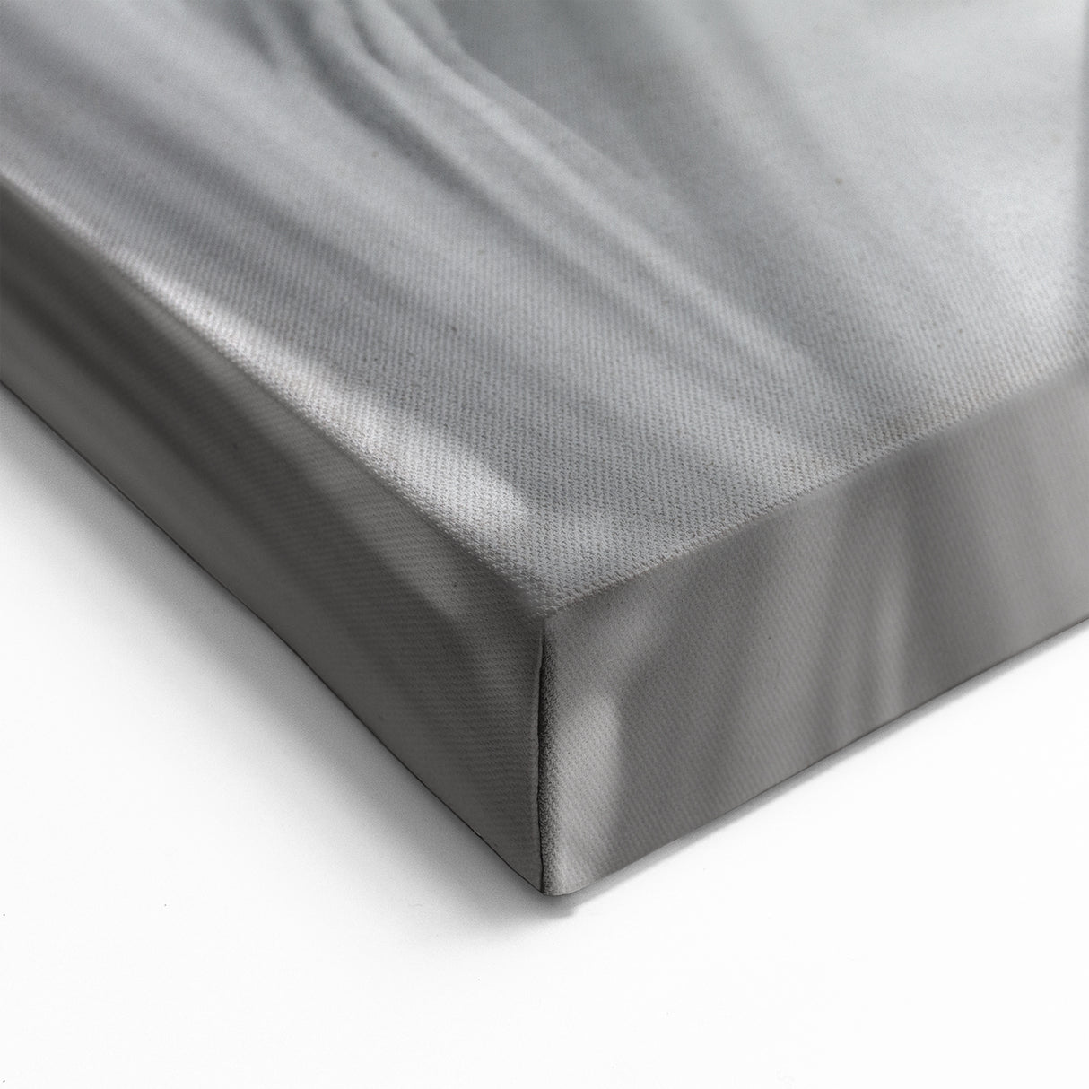 Minimalist Dandelion Close-Up Print - Elegant Black and White Wall Art