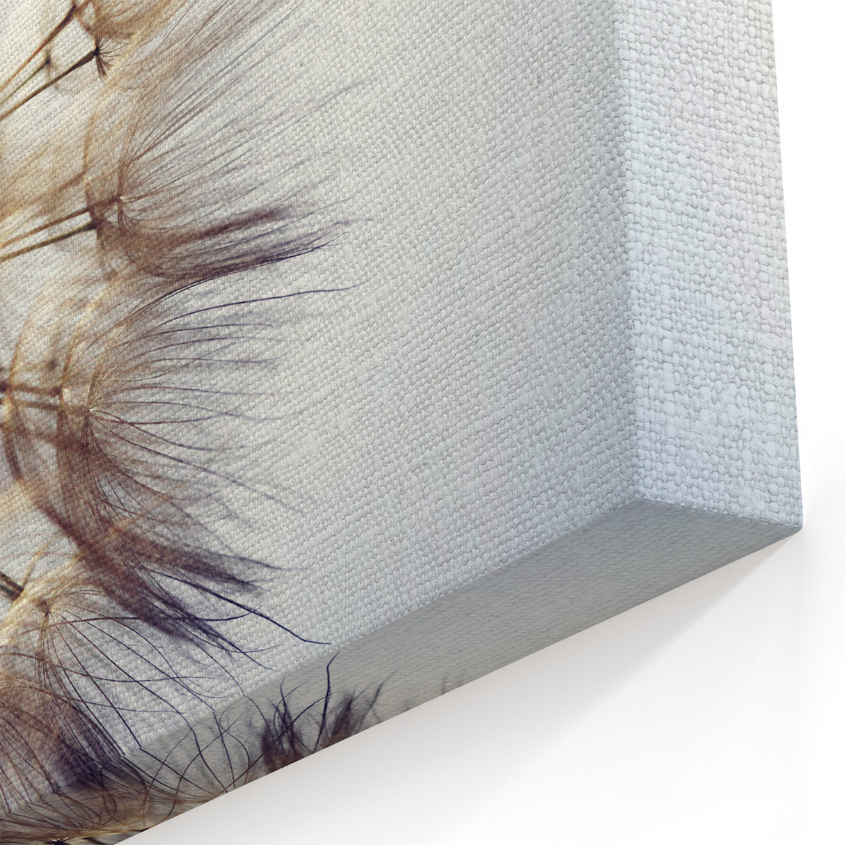 Elegant Dandelion Close-Up Print - Nature-Inspired Wall Art