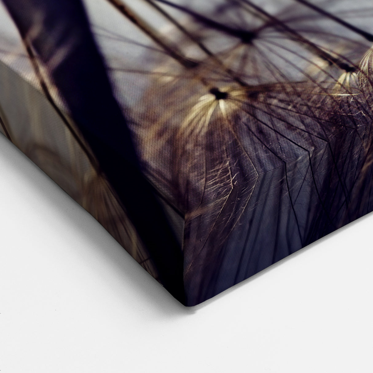 Elegant Dandelion Close-Up Print - Nature-Inspired Wall Art