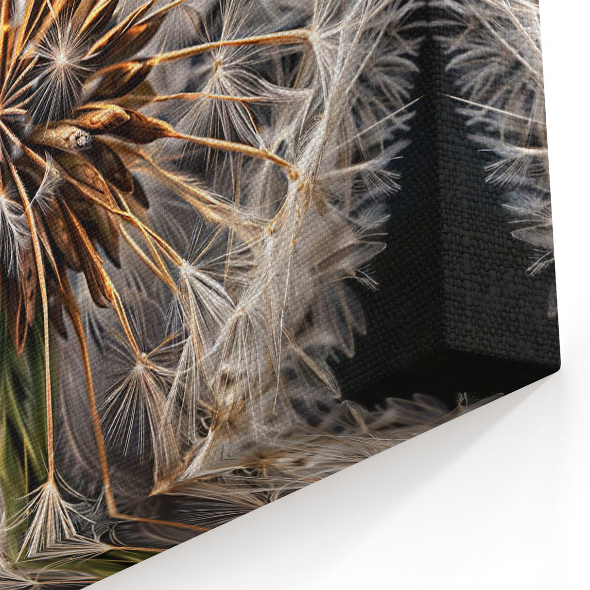 Detailed Dandelion Macro Print - Modern Nature-Inspired Wall Art
