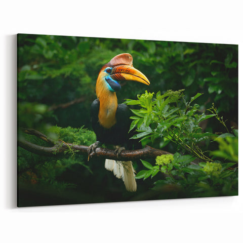 Malaysia Art Print – Vibrant Hornbill in Lush Greenery Wildlife Scene