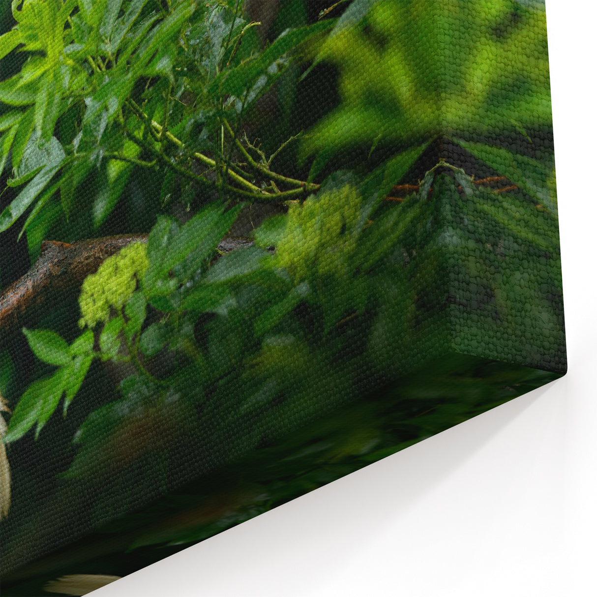 Malaysia Art Print – Vibrant Hornbill in Lush Greenery Wildlife Scene