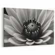 Black and White Floral Wall Art - Monochrome Flower Close-Up Decor