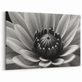 Black and White Floral Wall Art - Monochrome Flower Close-Up Decor