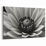 Black and White Floral Wall Art - Monochrome Flower Close-Up Decor