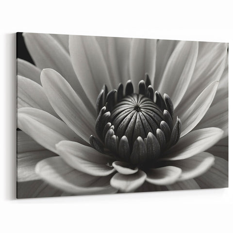 Black and White Floral Wall Art - Monochrome Flower Close-Up Decor