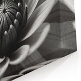 Black and White Floral Wall Art - Monochrome Flower Close-Up Decor