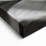 Black and White Floral Wall Art - Monochrome Flower Close-Up Decor