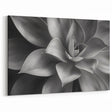 Monochrome Botanical Wall Art - Succulent Close-Up for Modern Decor